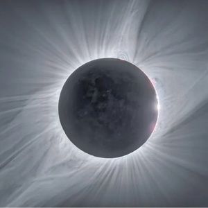 Meet your Posher, Florencia